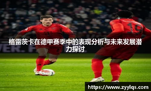 格雷茨卡在德甲赛季中的表现分析与未来发展潜力探讨